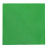 Платок ярко-зеленого цвета 845927