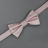 Бабочка нежно-розового цвета Coveri Collection 842179
