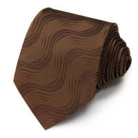 Элегантный шоколадный галстук Gianfranco Ferre 828068