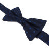biagiotti-bow-tie-818573-1-mid.jpg