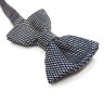 valentino-bow-ties-813301-2-mid.jpg