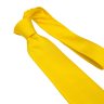 Желтый галстук 810757