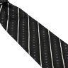 Полосатый галстук Celine 838587