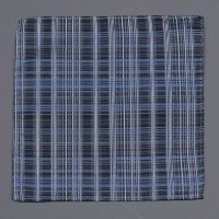 Стильный карманный платок паше 846043