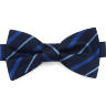 Мужская галстук-бабочка красивого синего цвета Laura Biagiotti 828716