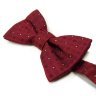 valentino-bow-ties-822763-2-mid.jpg