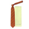 Широкий галстук с шашечками для мужчины Roberto Conti 820909