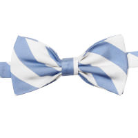 Красивая бело-голубая полосатая бабочка Marina D`Este 827120