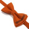 bow-ties-hand-made-814373-2-mid.jpg